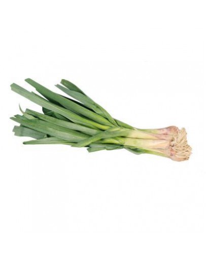 Naganegi (Leeks)