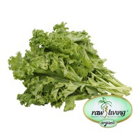 Raw & Living Organic Green Curly Kale