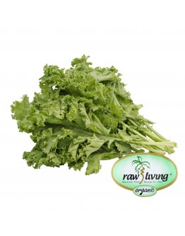 Raw & Living Organic Green Curly Kale