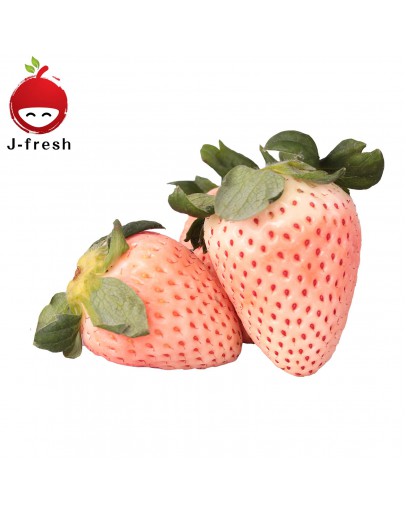 JMG Awayuki Strawberry